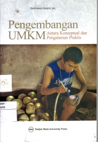 Pengembanga UMKM: antara konseptual dan pengalaman praktis